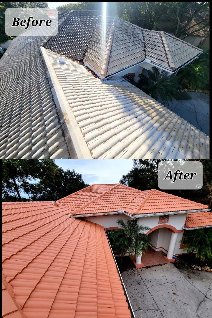Roof Painting Service Broward County for Smart Shield