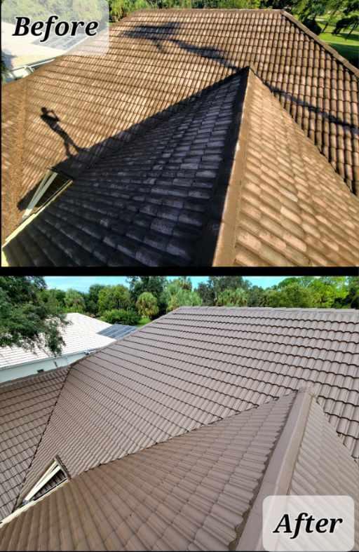 Roof Painting Service Broward County for Smart Shield