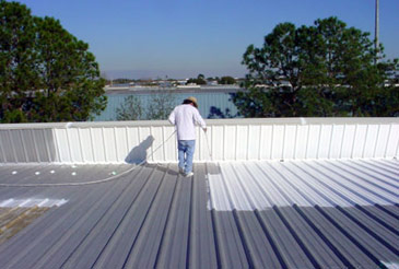 Residential Flat Roof Painting
