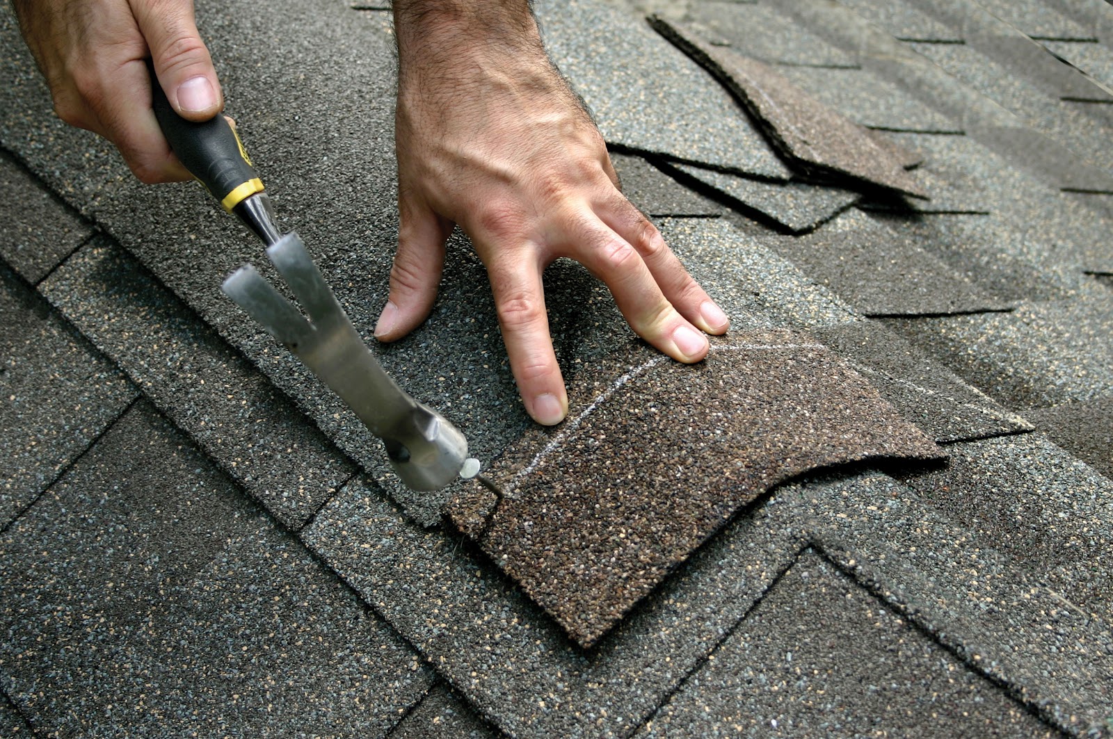 Shingle Roof Repair and Maintenance